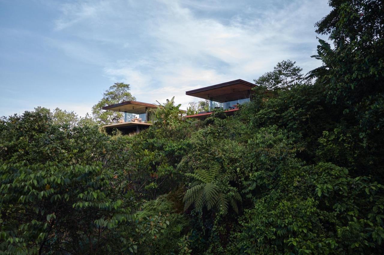 Achiote Architectural Gem - Adults Only Villa อูวีตา ภายนอก รูปภาพ