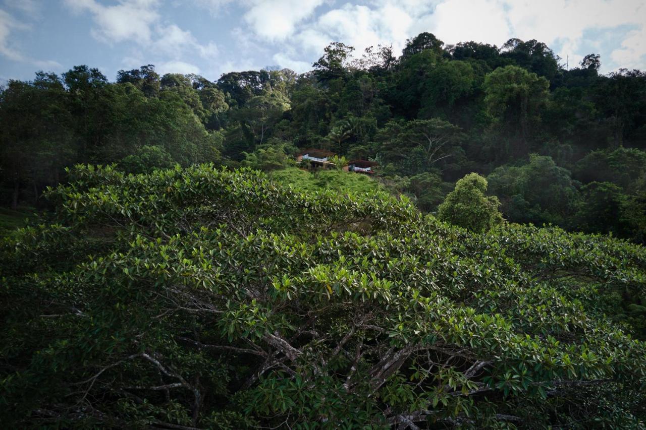 Achiote Architectural Gem - Adults Only Villa อูวีตา ภายนอก รูปภาพ